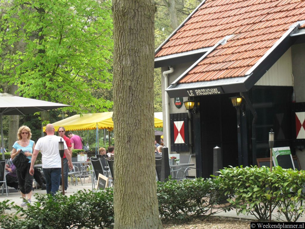 Het boscafé van Piet Plezier, Boscafé "Le Rossignol", heeft een prachtig terras. Voor het terras liggen attracties als jeu de boules, midgetgolf, snookergolf en een speeltuin met springkussen.